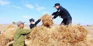 冰城公安：打造“田间警务” 助力守护丰收画卷